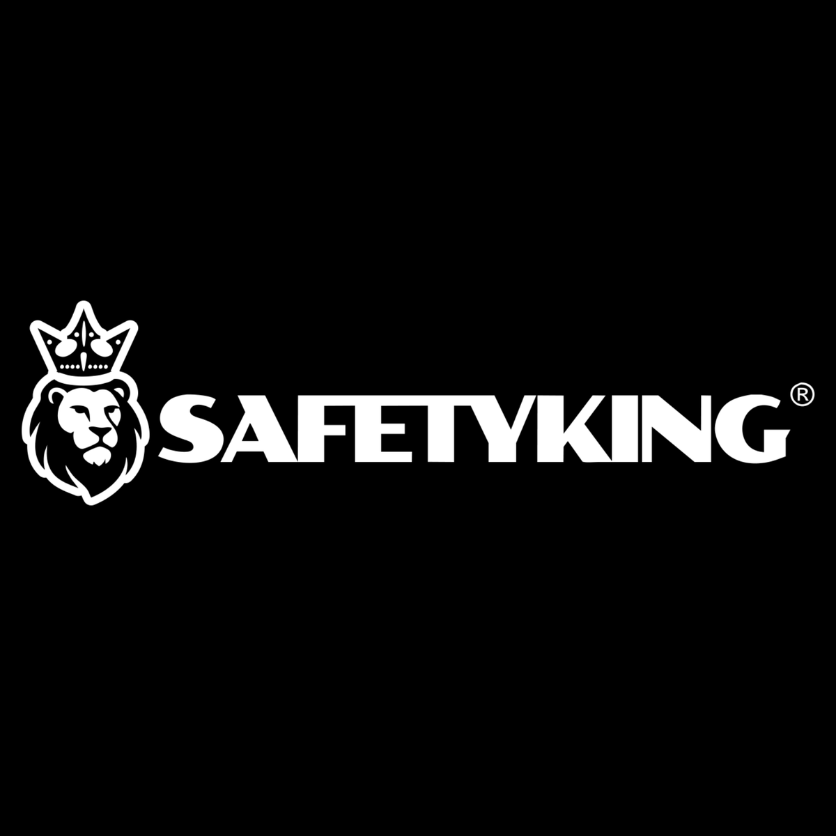 SAFETYKING TAGS